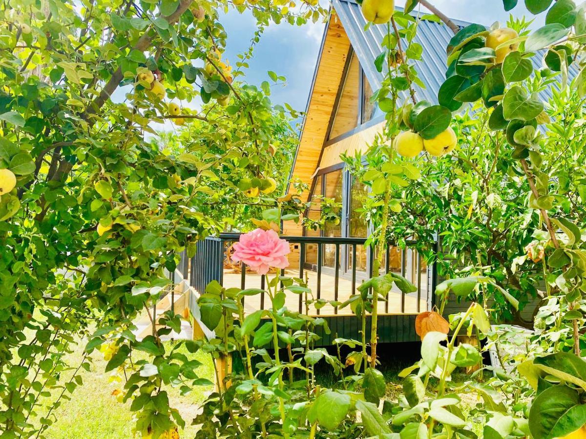 Garden Bungalow أنطاليا المظهر الخارجي الصورة